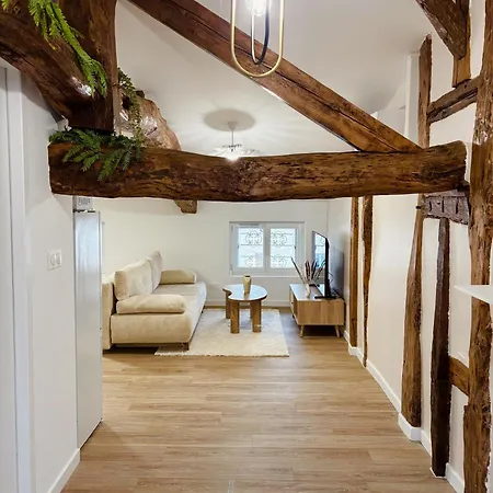 Le C0c00ning - Centre Apartment